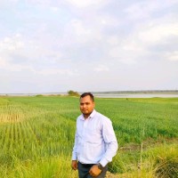 Pawan Bharadkar
