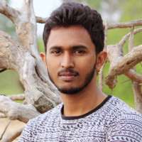 Jauhar Paloth