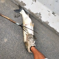 孙争光