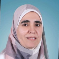 Abeer Mostafa Elsayed