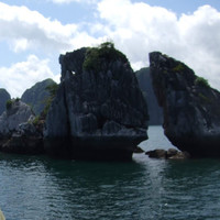 Linh Nguyen