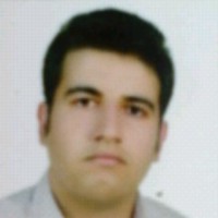 Ali Majidi