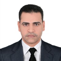 wael elattar