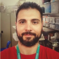 Daniele Azzinelli