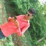 Shambulinga Shambu