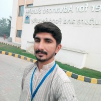 Ahmad Mujtaba