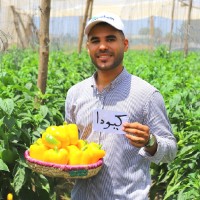 Abdalrhman Alghannam