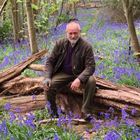 David Cruickshank