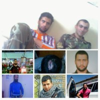 جاوید شهبازی