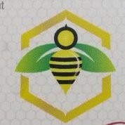 honey comb consultancy