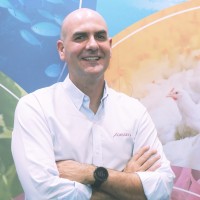 Domenico Arruda