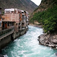 Asif Insha