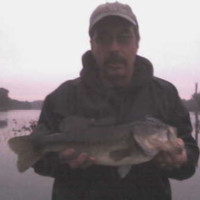 Kevin Scheirmann