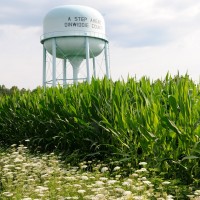 Discover Dinwiddie