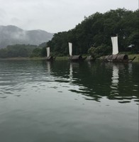 王维伟