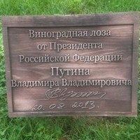 Сергей Лесных