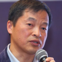 郑伟伟