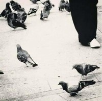 Asmaa Abdullah Ali Mohammed