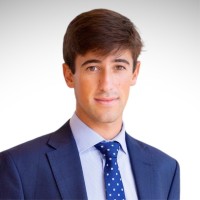 Gonzalo Aldámiz-Echevarría Zayas