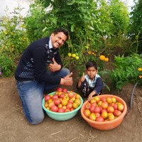 Dr. Shubham Kumar Kulshreshtha