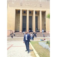 Mahmoud Diaa Fayez