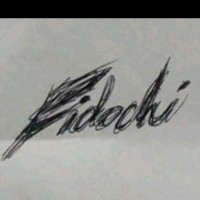Fidochi null