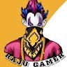Raju Ra Gamer