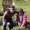 Sagarmoy Baral