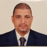 Mohamed Abdelmeguid, PE