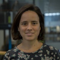 Joana Mendes, FRMetS