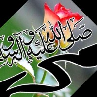 Md Tohid Alam Alam