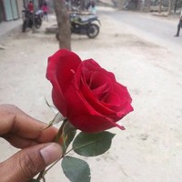 Aminul Islam Ronju