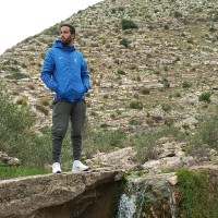 Wajdi Ghanmi