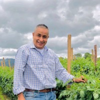 Hector David Cisneros