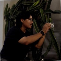 Muhammad Haikal