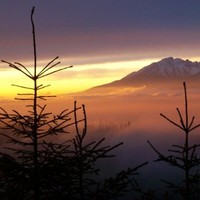 Marian Jendrichovsky