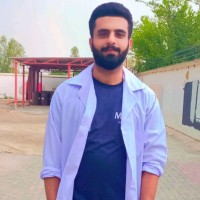 Muhammad Zain ul Abideen
