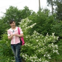 Janet guan