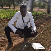 ibrahim bitton Mamary COULIBALY