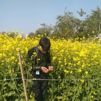 RANJEET KUMAR SHUKLA