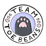 Star Bear