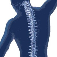 Vital Life Chiropractic