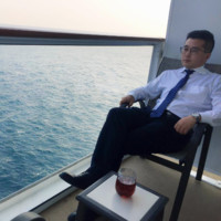 文树树