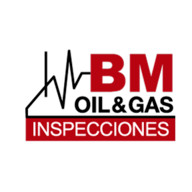 Bm Inspecciones Bm Inspecciones