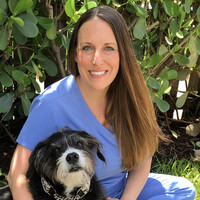 Beth Lechner Hines, DVM, DACVIM (Internal Medicine)