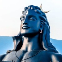Vinod Roy