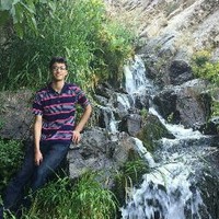 Sam Narimani