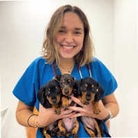 Inês Maldonado Cruz