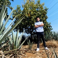 Miguel Angel Becerra Zarate