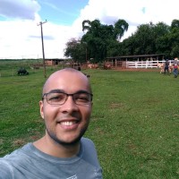 Guilherme De Paula Viana